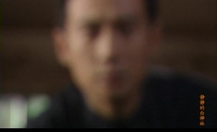 静静的白桦林 第27集视频封面图