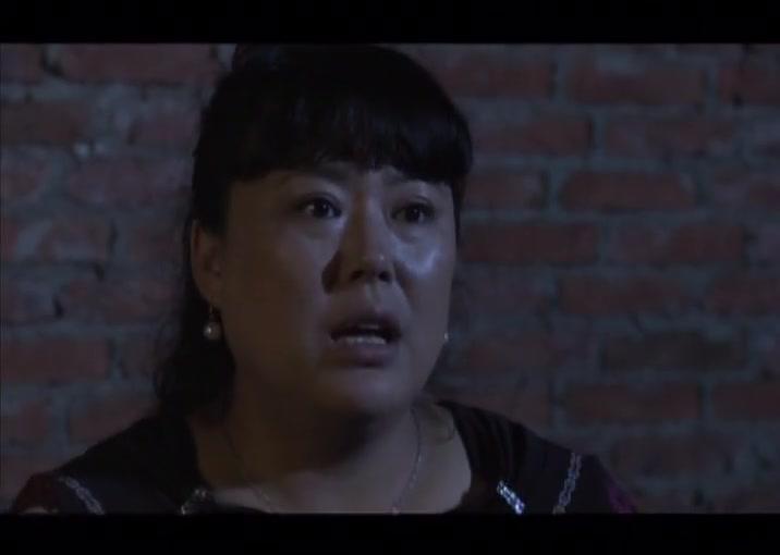 女人当官 第17集视频封面图