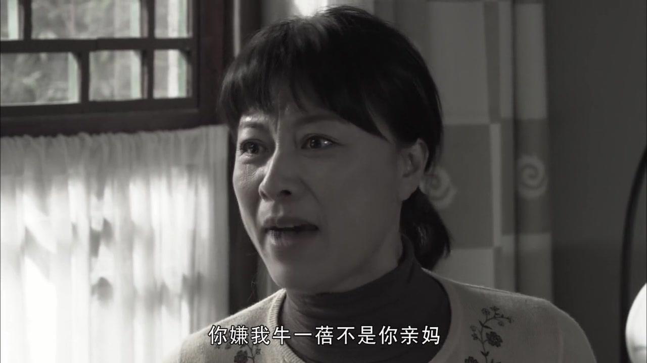 双城生活 第31集视频封面图