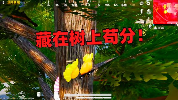 人物藏在树上,躲在上面敌人根本不能发现,但是容易被轰炸区淘汰