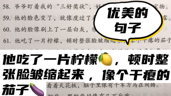 优美句子积累:他吃了一片柠檬🍋,顿时整张脸皱缩起来,像……