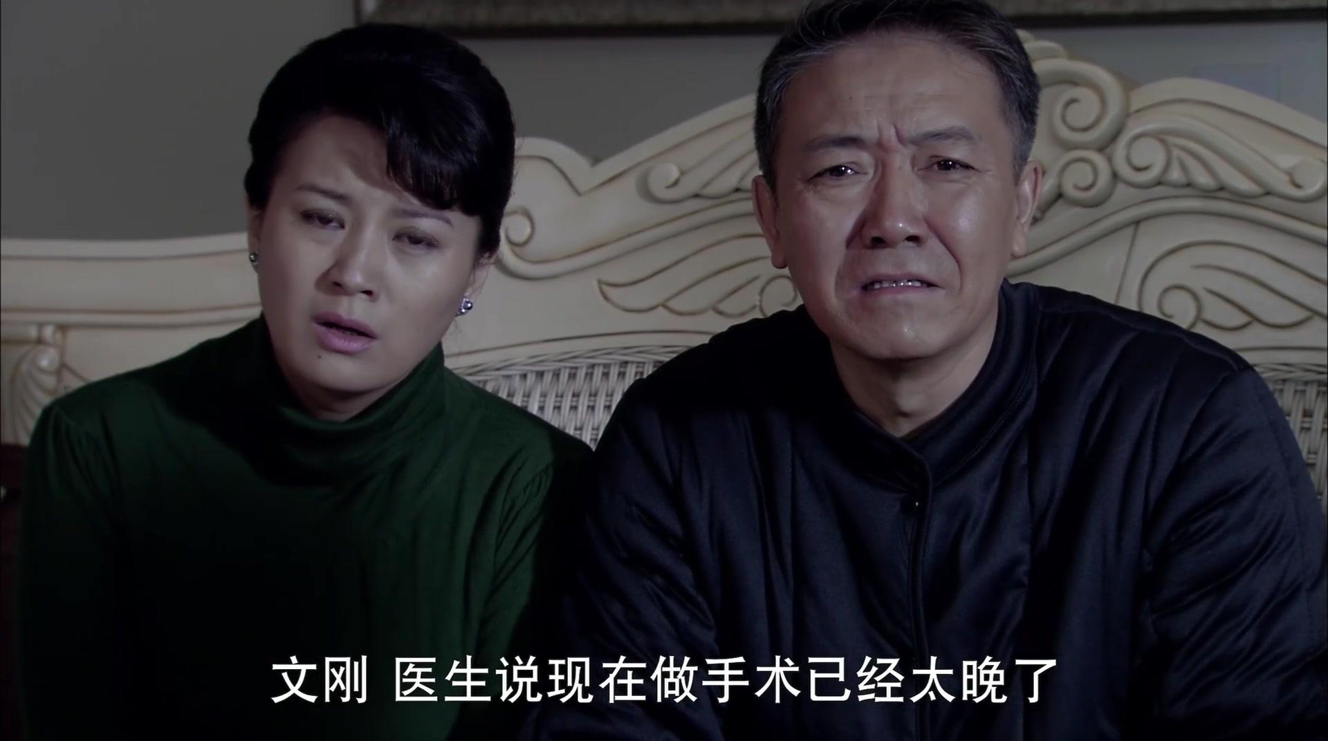 老严有女不愁嫁 第19集视频封面图