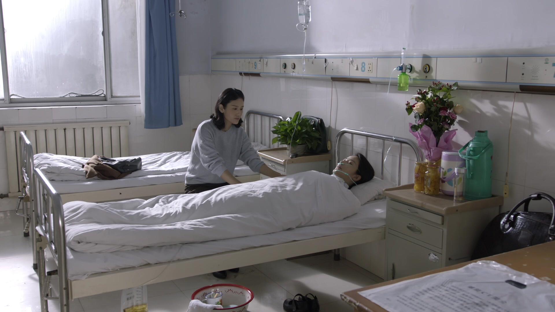 太行赤子 第29集视频封面图