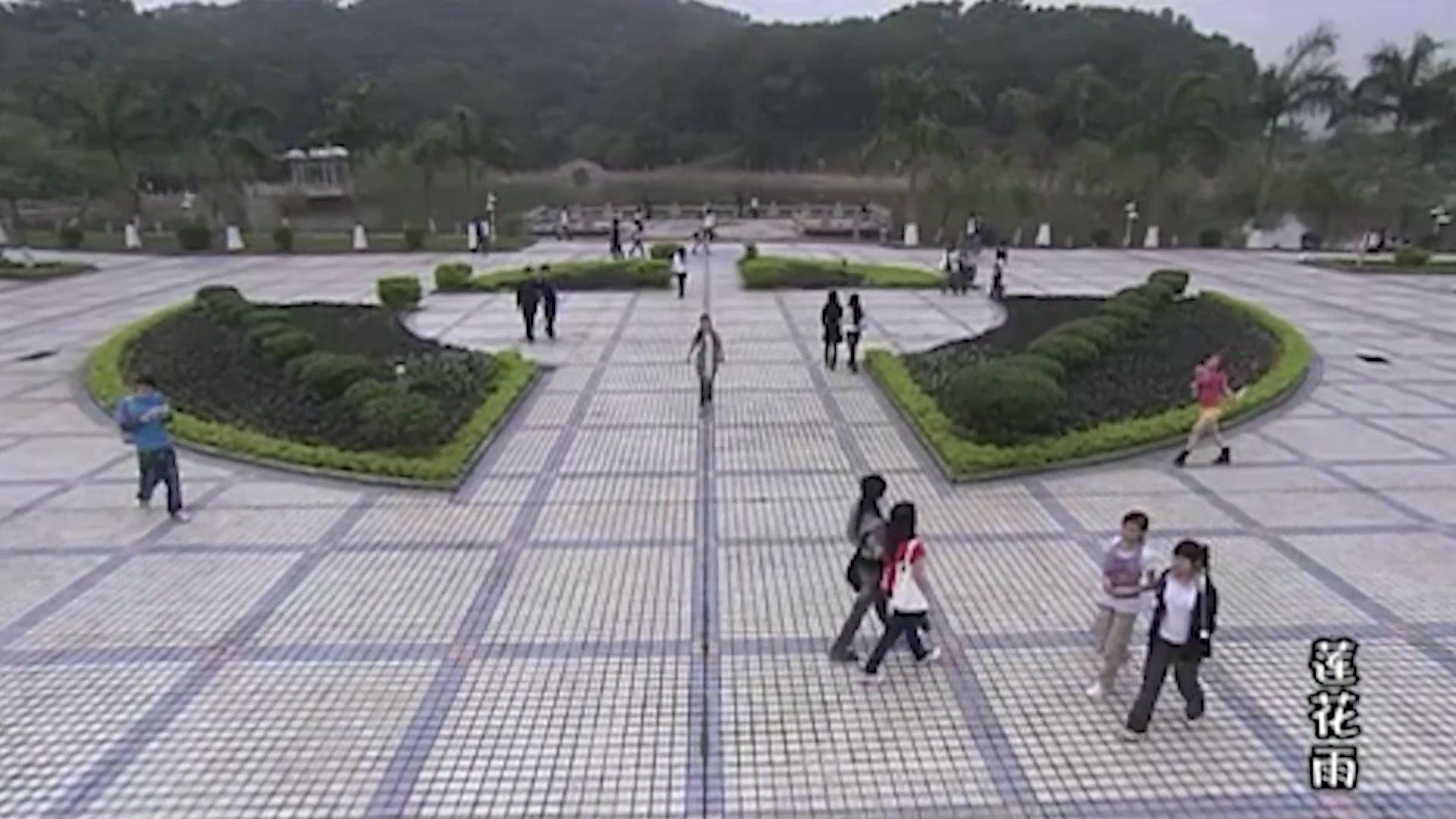 莲花雨 第1集视频封面图