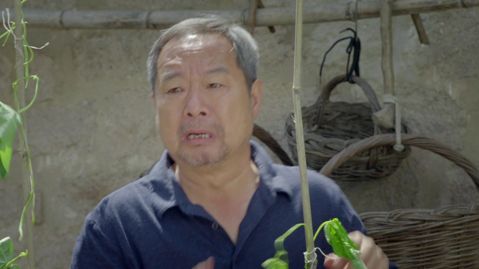 小米的爱情 第16集视频封面图