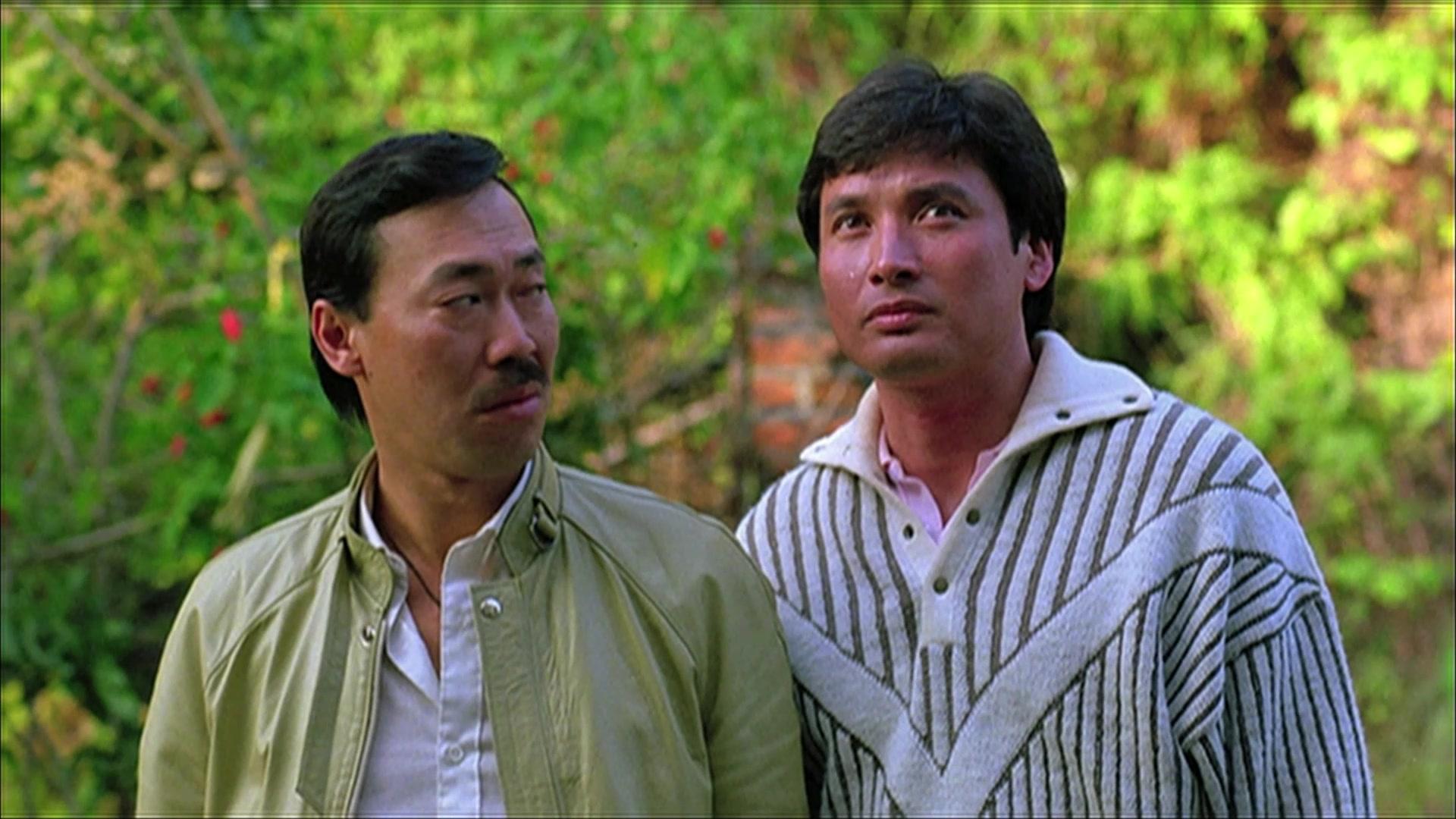 福星高照视频封面图