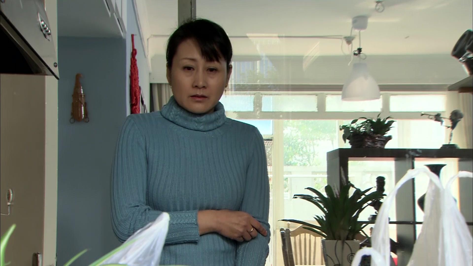 儿女冤家 第17集视频封面图