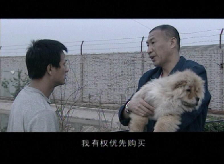 男人养家 第16集视频封面图