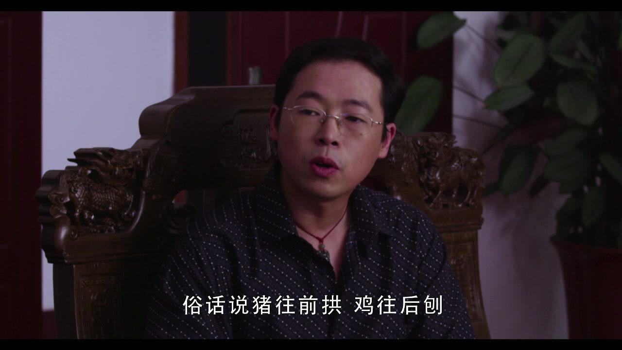 国家审计 第9集视频封面图