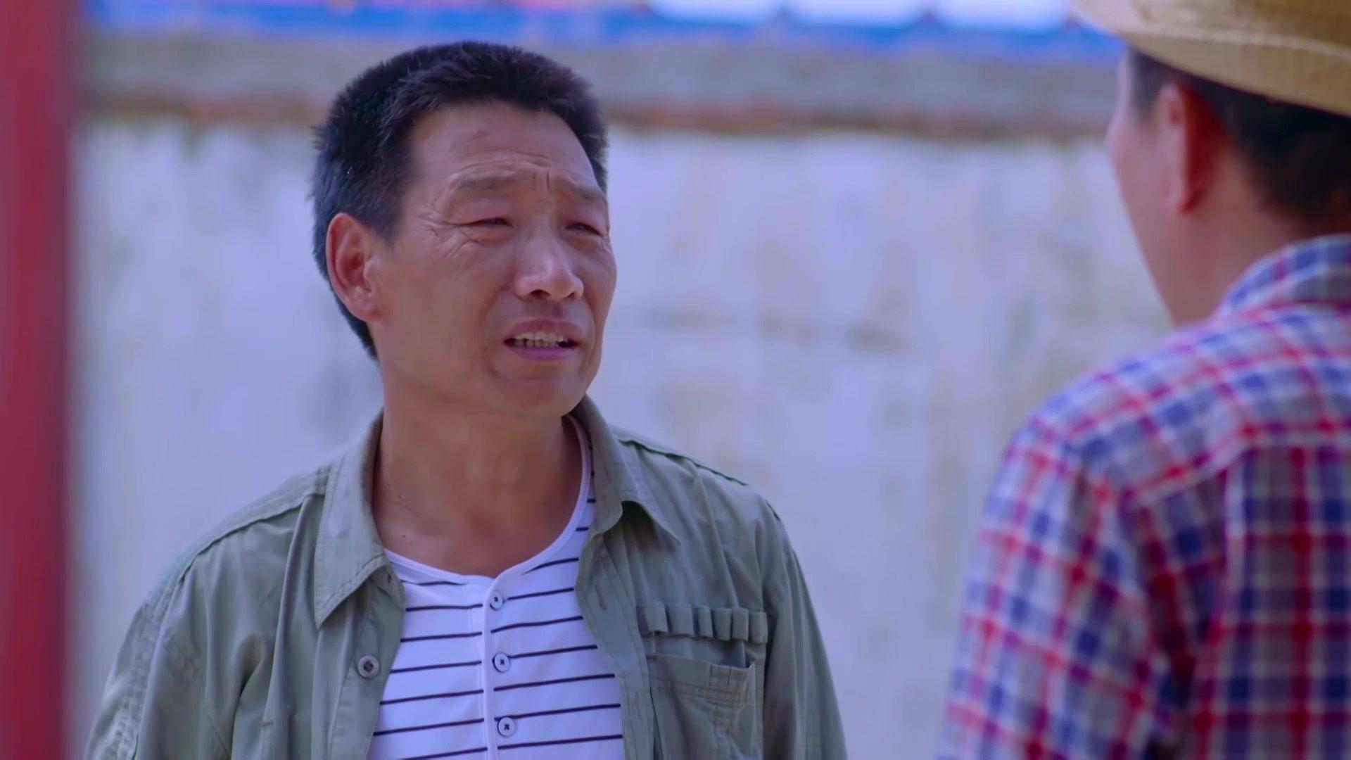 茶乡花正开 第19集视频封面图