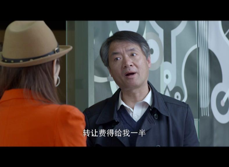 第三种幸福 第9集视频封面图