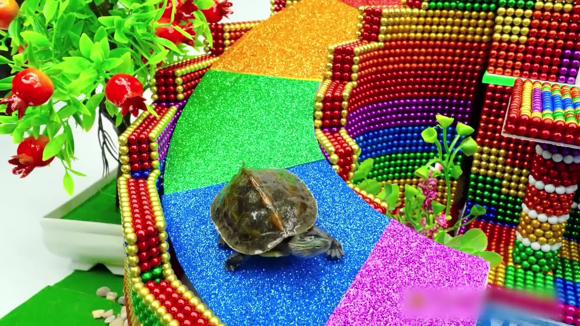 小仓鼠的磁力巴克球城堡 第57集视频封面图