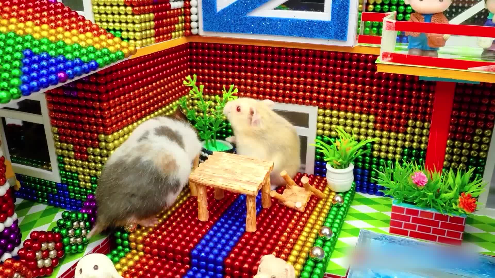 小仓鼠的磁力巴克球城堡 第13集视频封面图