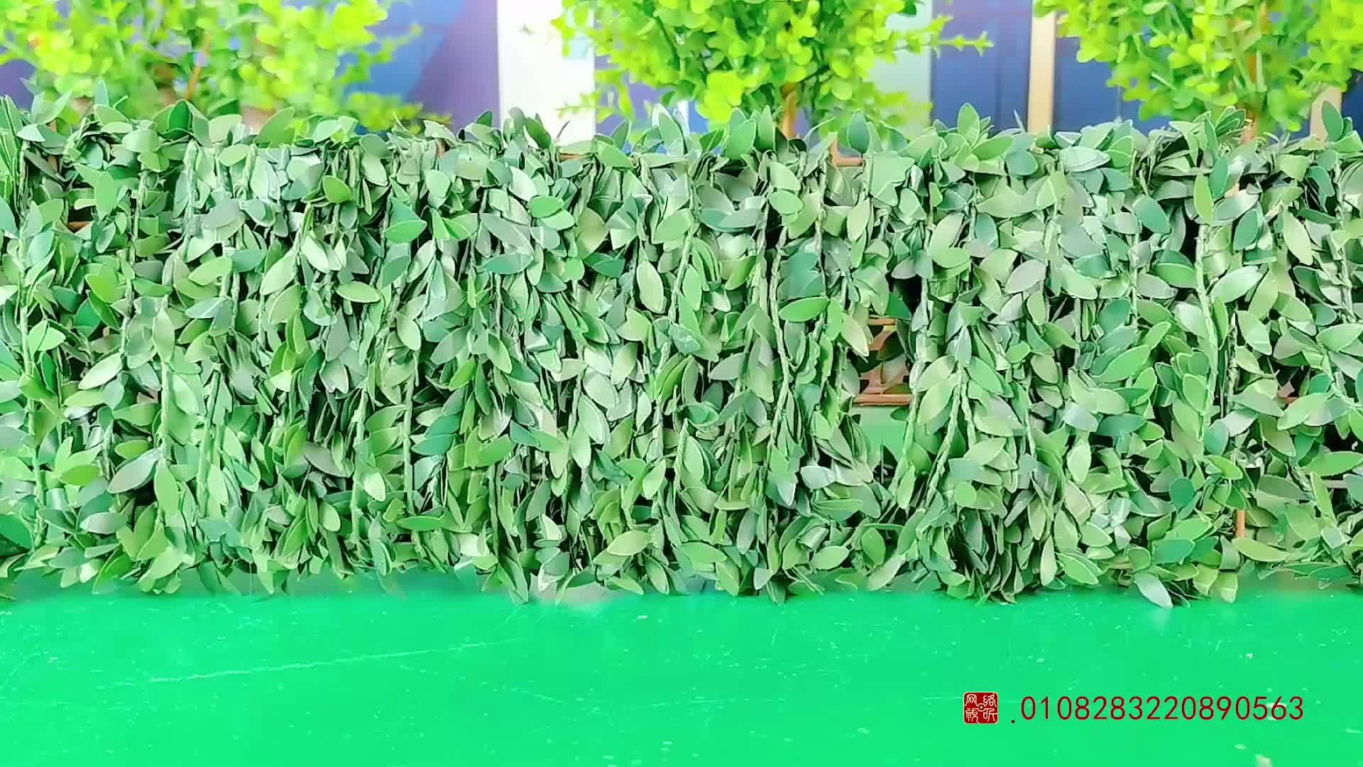 怪小逗和火爆老师 第208集视频封面图
