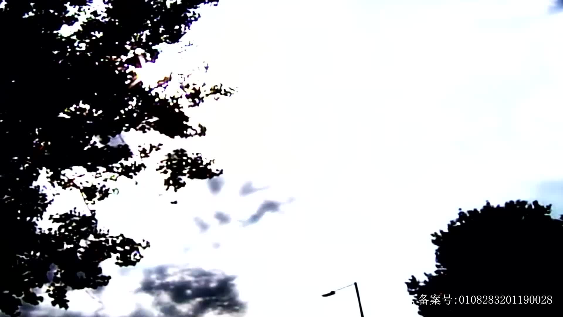 乐玩植物大战僵尸第二季 第47集视频封面图