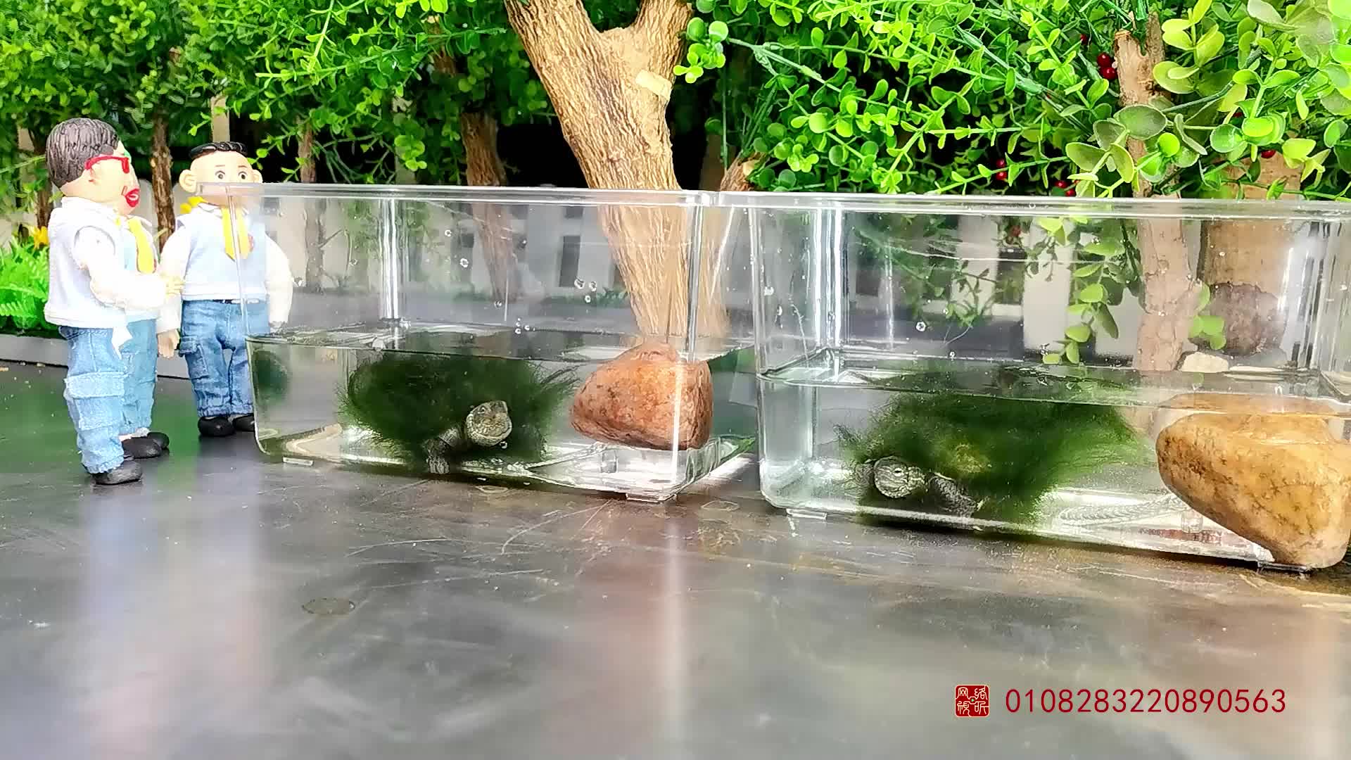 怪小逗之奇趣校园 第130集视频封面图