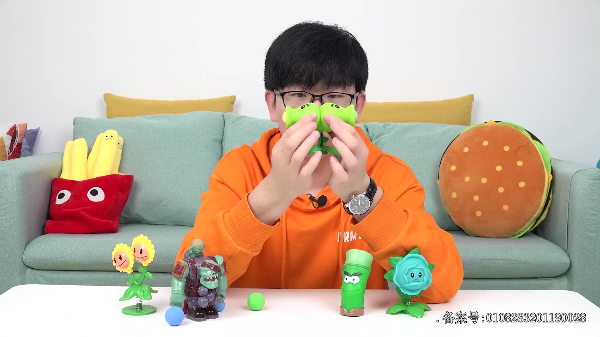乐玩植物大战僵尸 第31集视频封面图