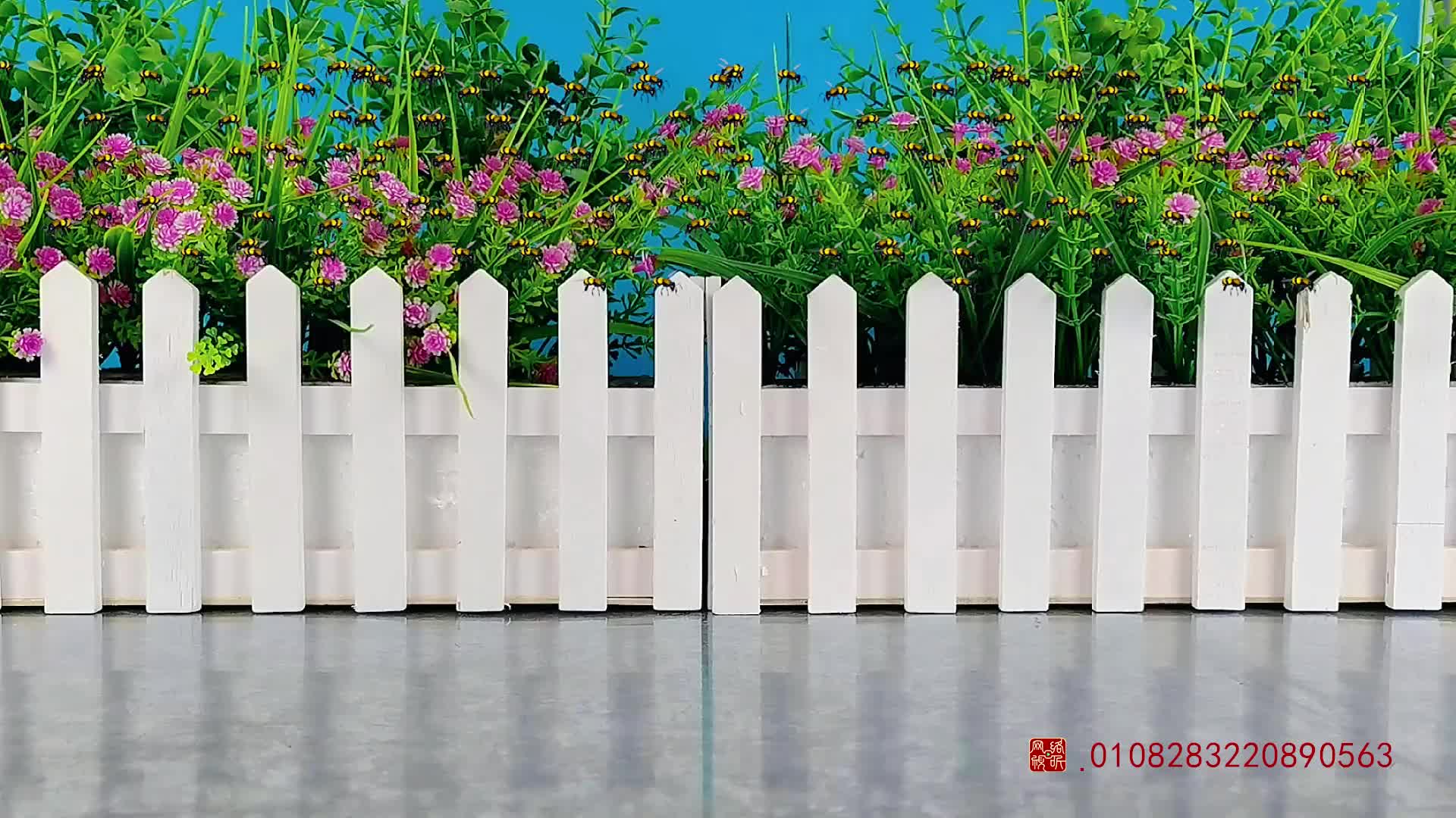 怪小逗和火爆老师 第178集视频封面图