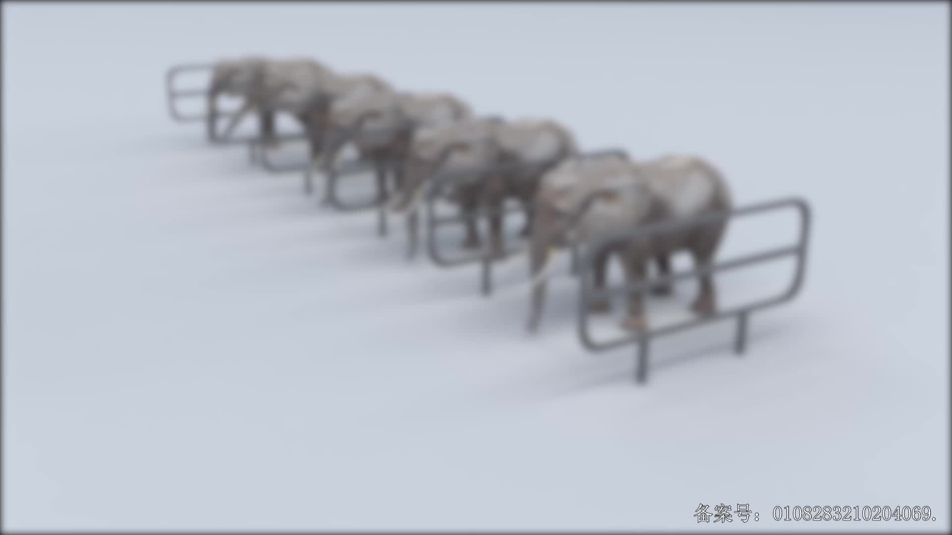 颜色益趣园第二十一季 第10集视频封面图