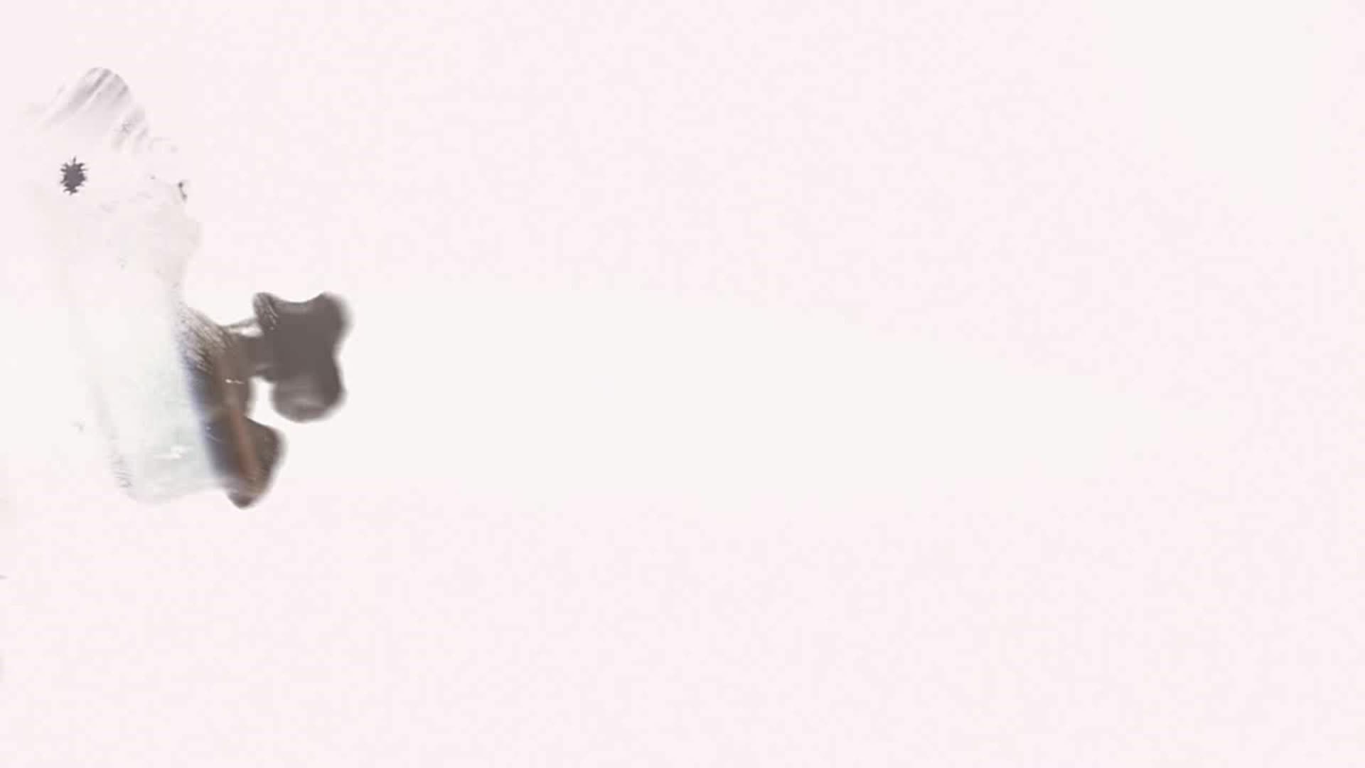 锦绣重生：早安傅太太第二季 第2集视频封面图