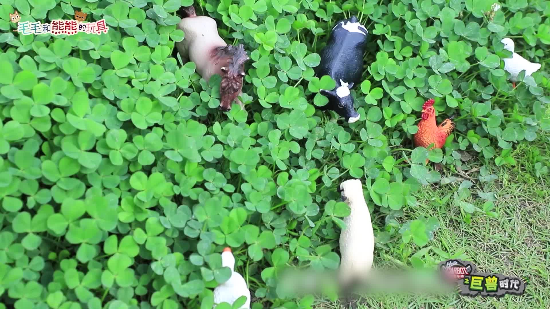 咖宝车神之趣味探险队 第9集视频封面图