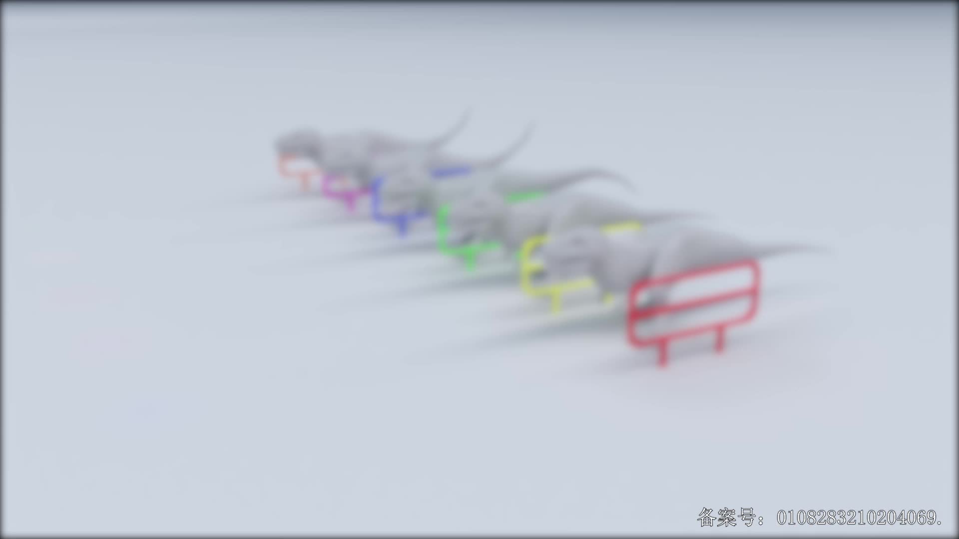 颜色益趣园第二十一季 第2集视频封面图