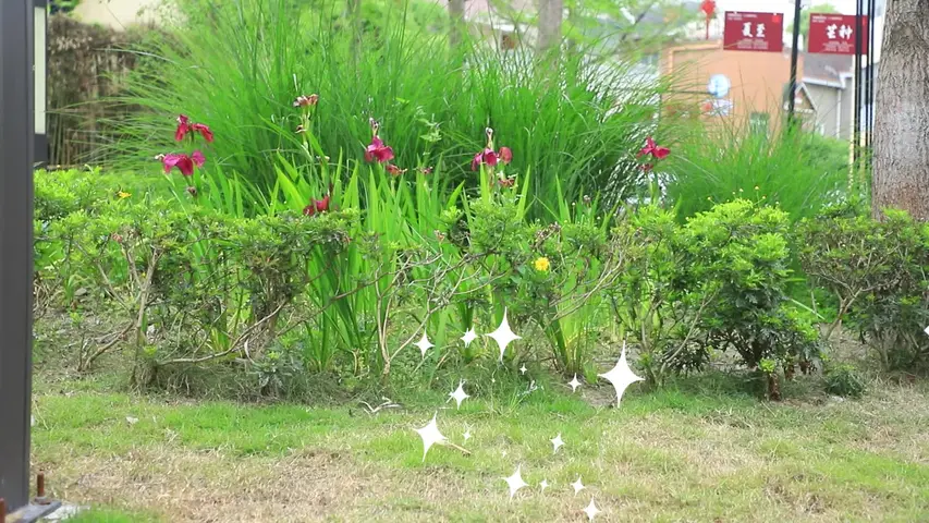 苏菲露比魔法奇遇 13集