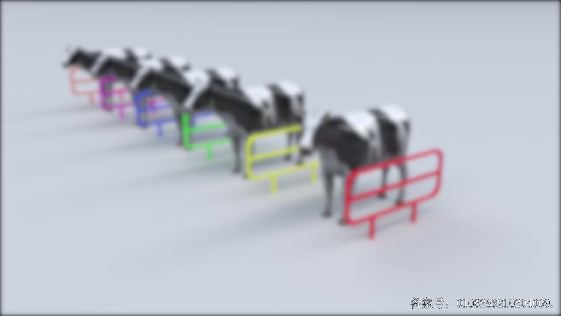 颜色益趣园第二十一季 第9集视频封面图