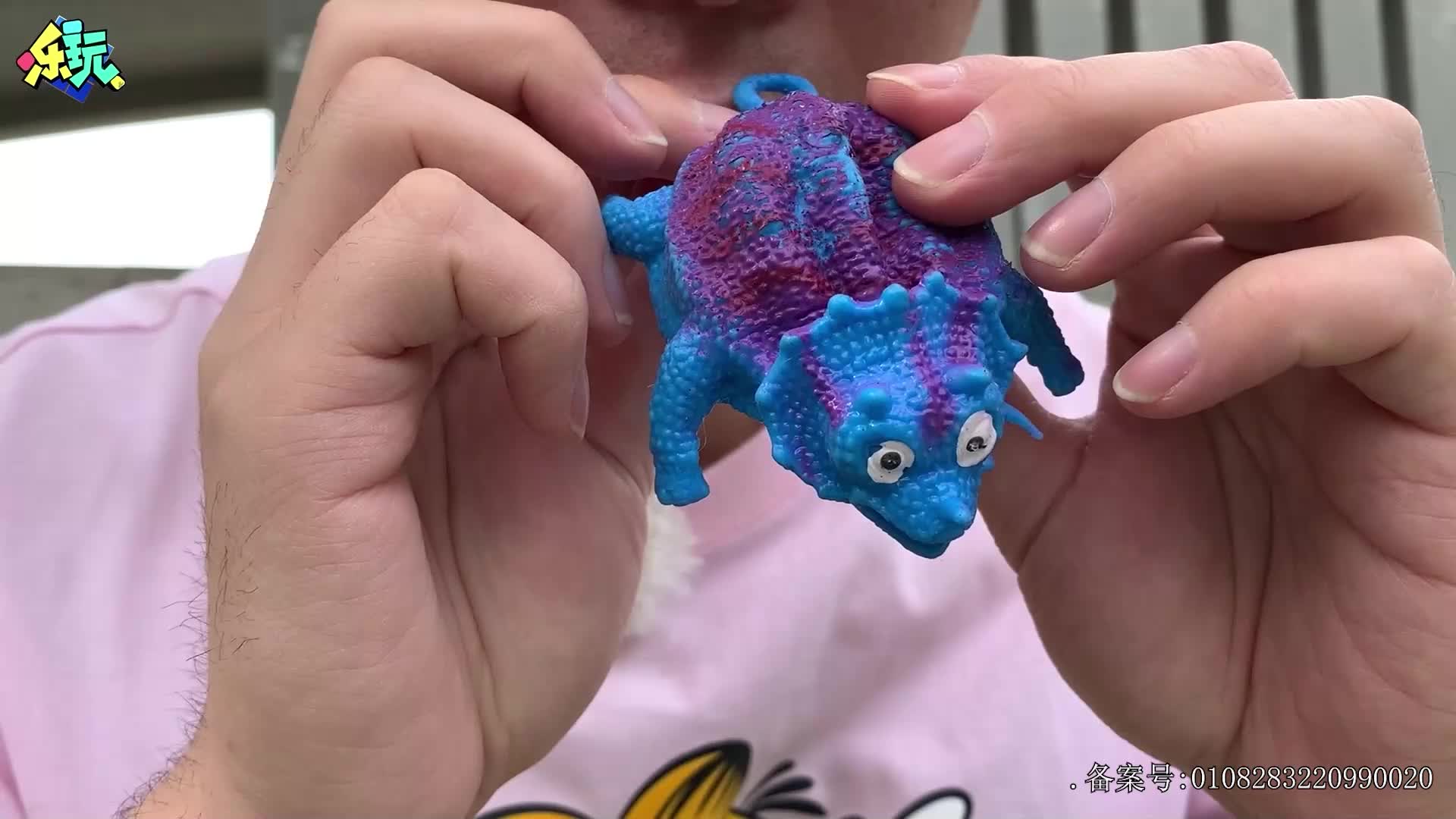 乐玩恐龙大冒险 第26集视频封面图