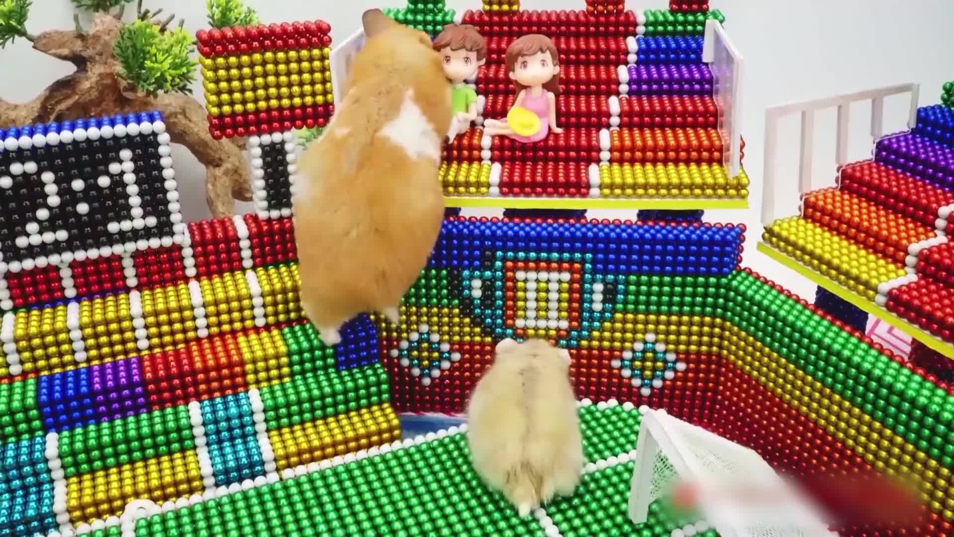 小仓鼠的磁力巴克球城堡 第63集视频封面图