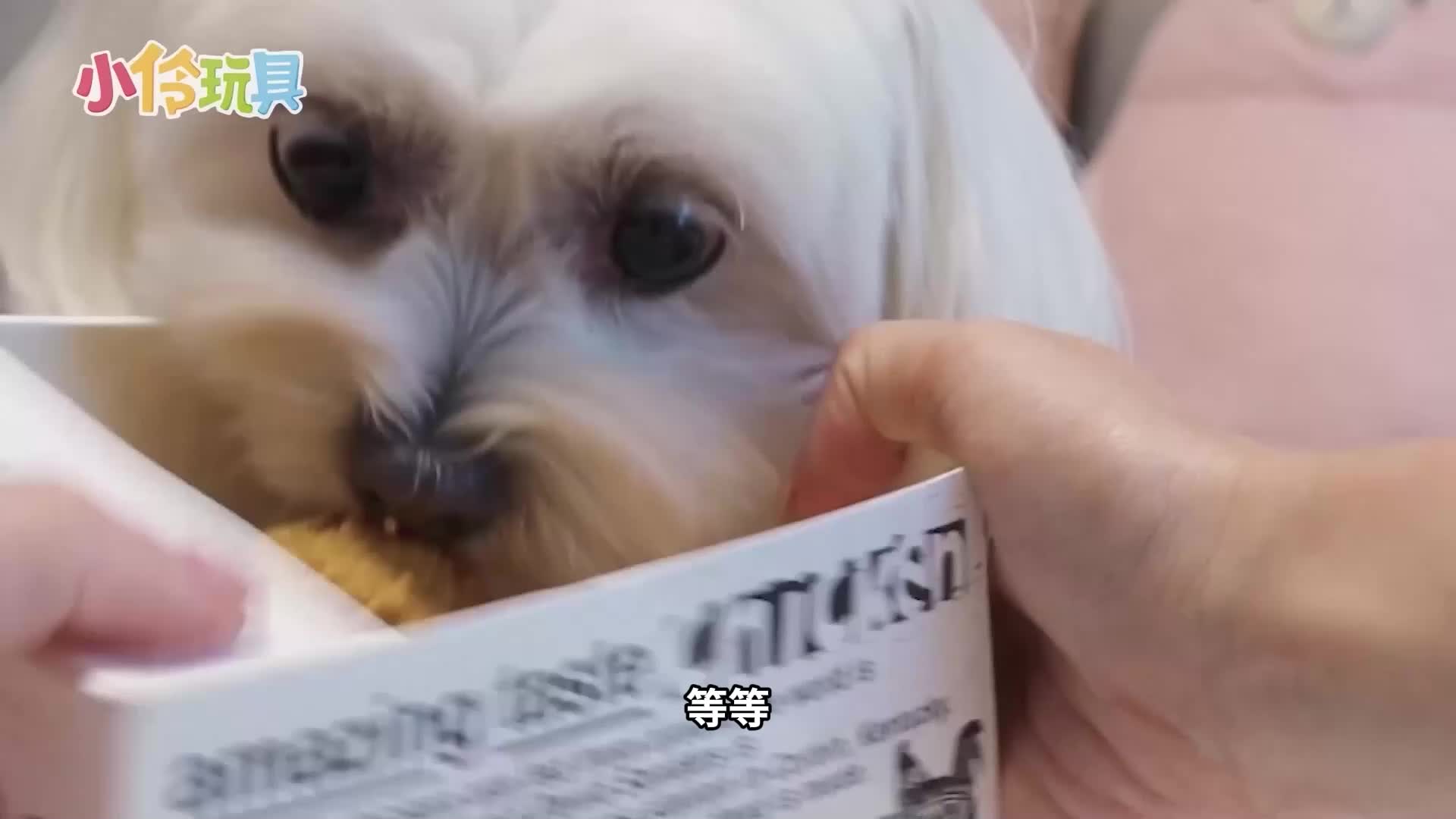 伶可美食挑战 第32集视频封面图