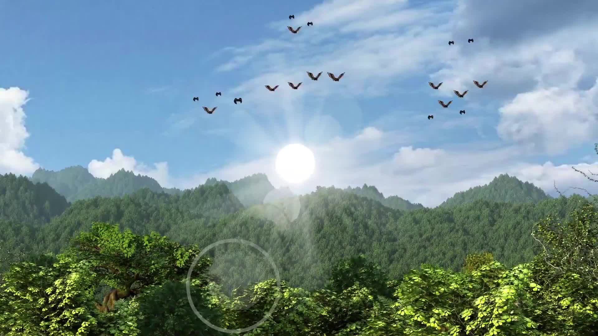 那世纪 第22集视频封面图