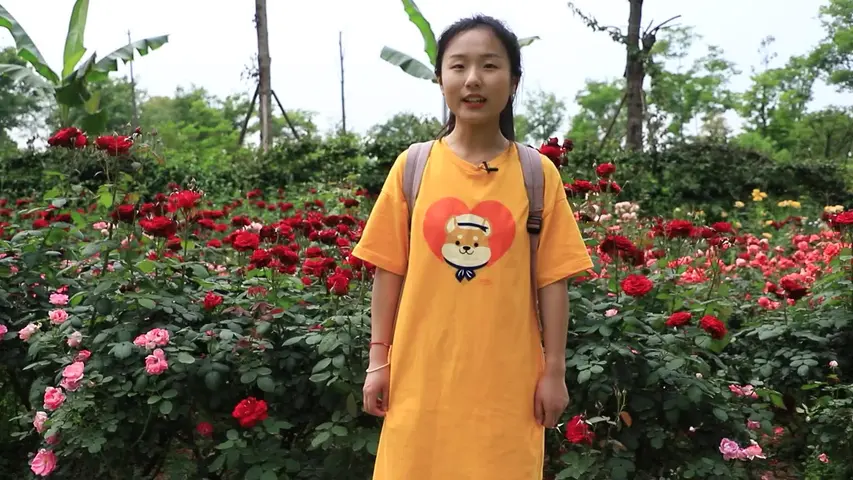苏菲露比魔法奇遇 16集