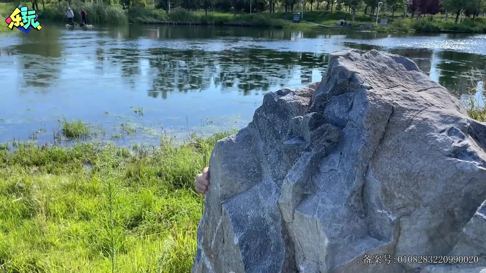 乐玩恐龙大冒险 第1集视频封面图