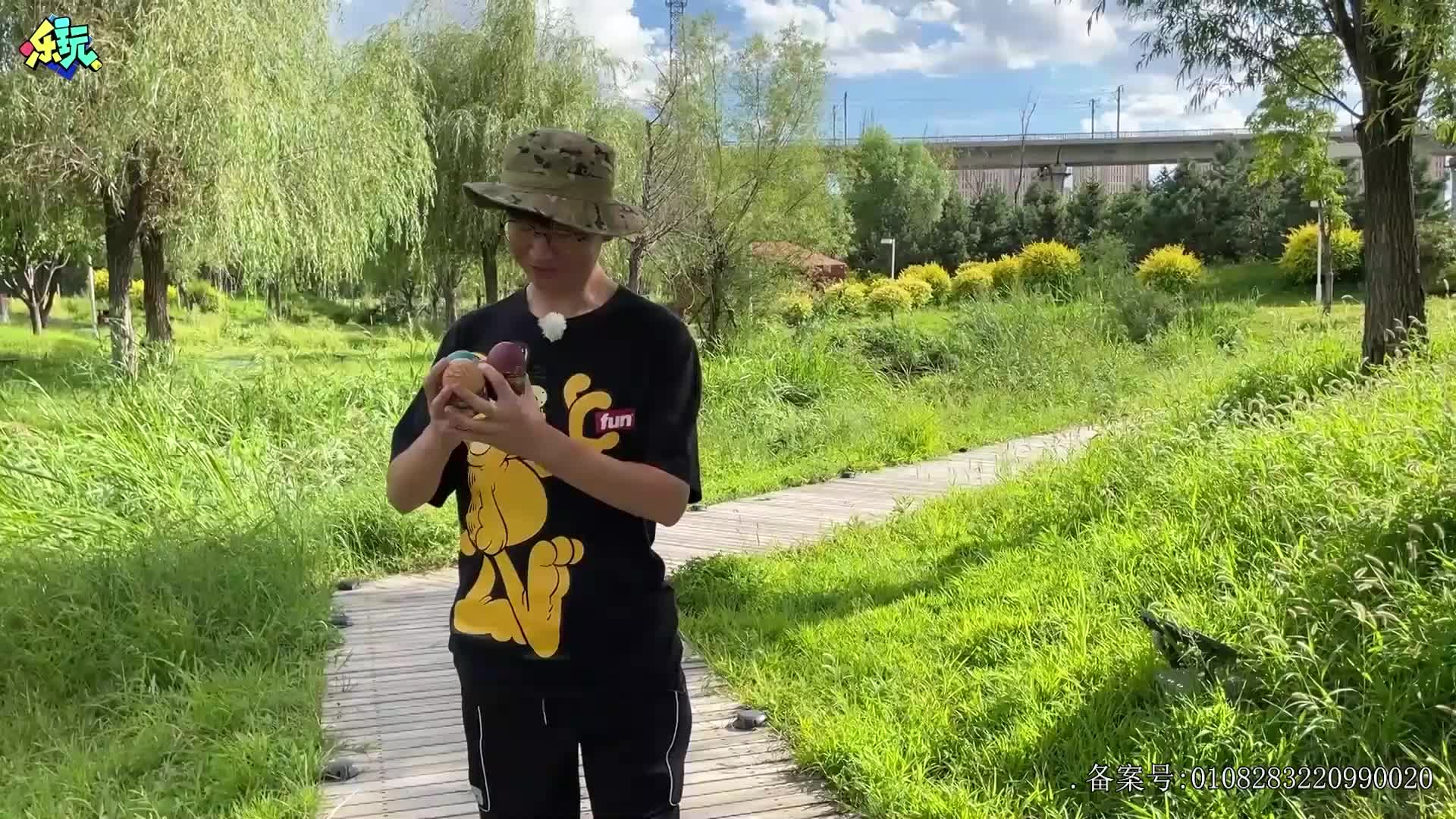 乐玩恐龙大冒险 第28集视频封面图