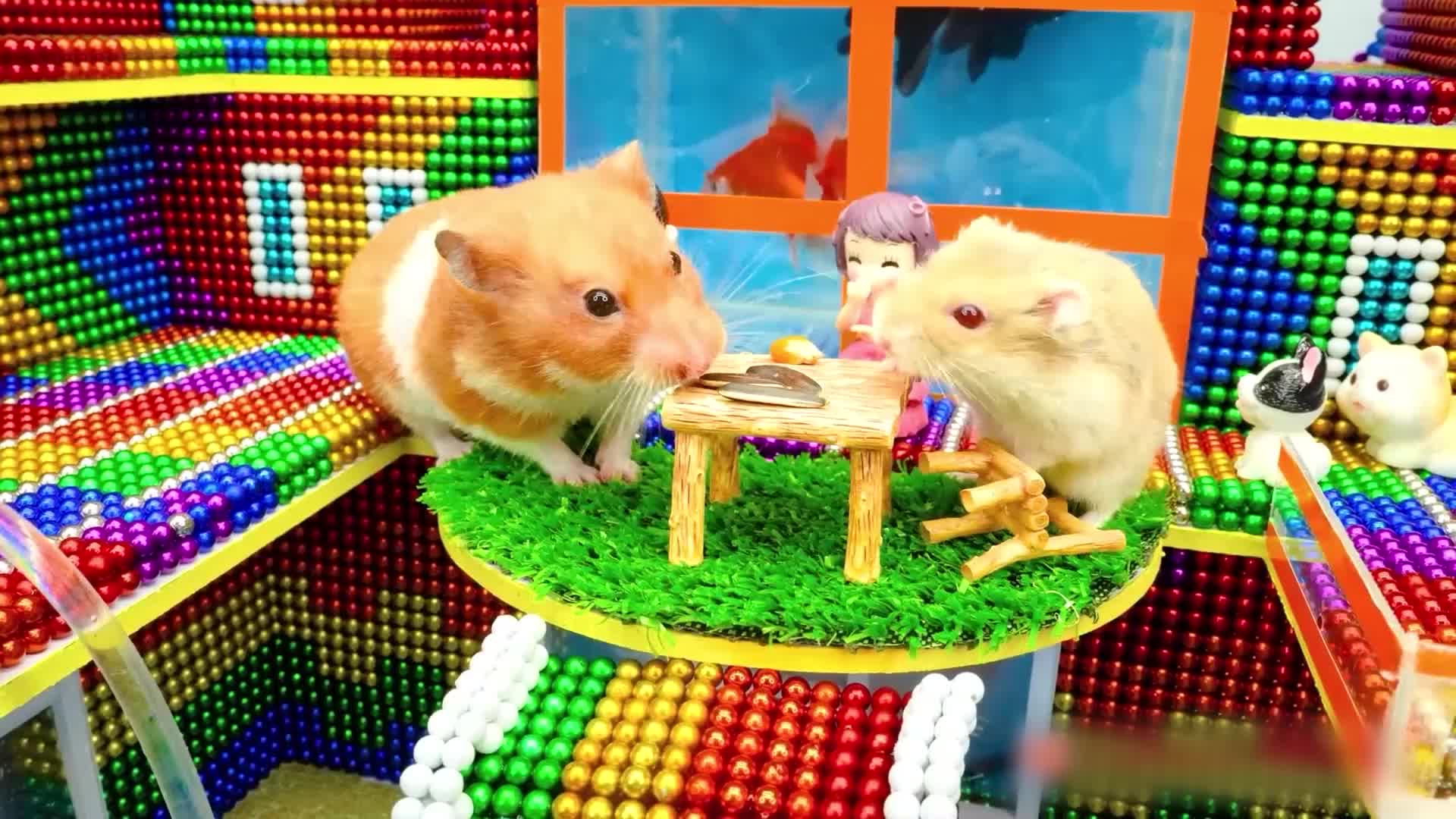 小仓鼠的磁力巴克球城堡 第62集视频封面图