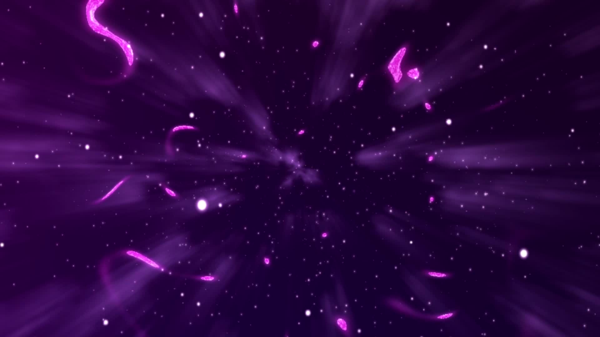 蔬菜不寂寞第四十季 第14集视频封面图