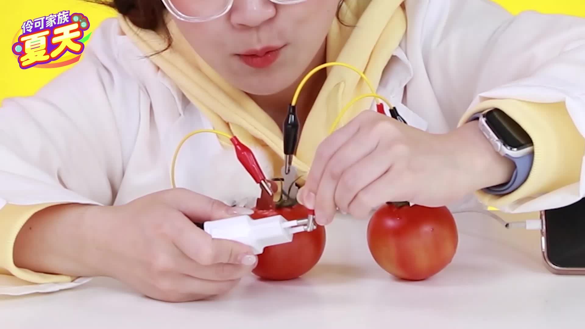 伶可家族夏天 第45集视频封面图