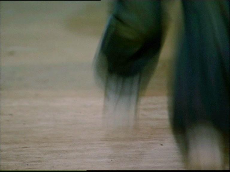 走过路过莫错过 第16集视频封面图