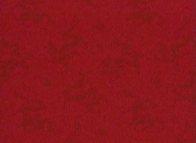 苏州二公差 第18集视频封面图