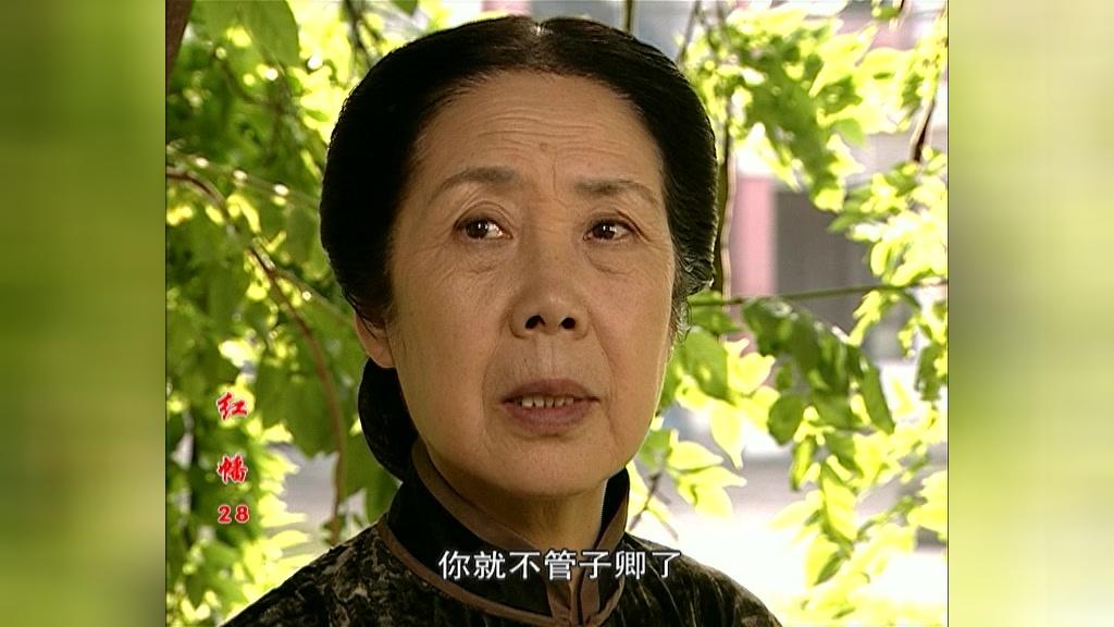 红幡 第28集视频封面图
