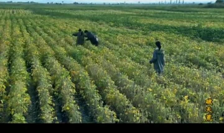 破天荒 第16集视频封面图