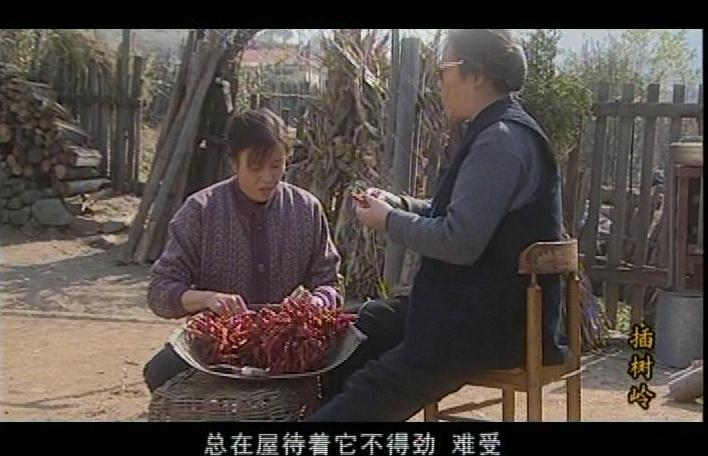 插树岭 第7集视频封面图