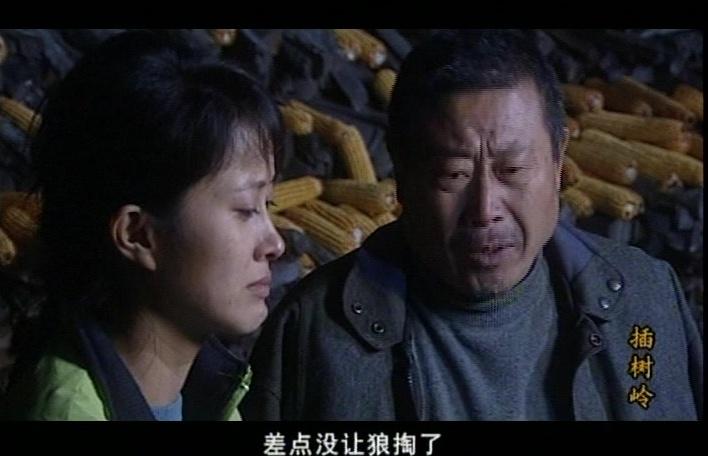 插树岭 第5集视频封面图