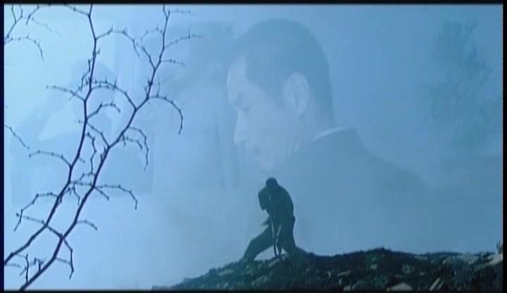 我是太阳 第25集视频封面图