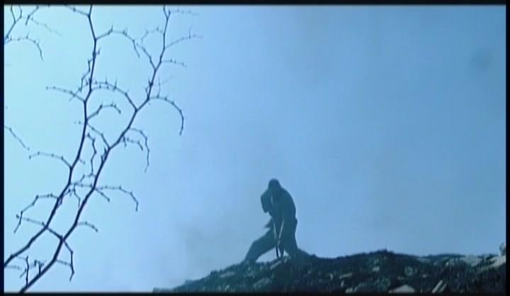 我是太阳 第19集视频封面图