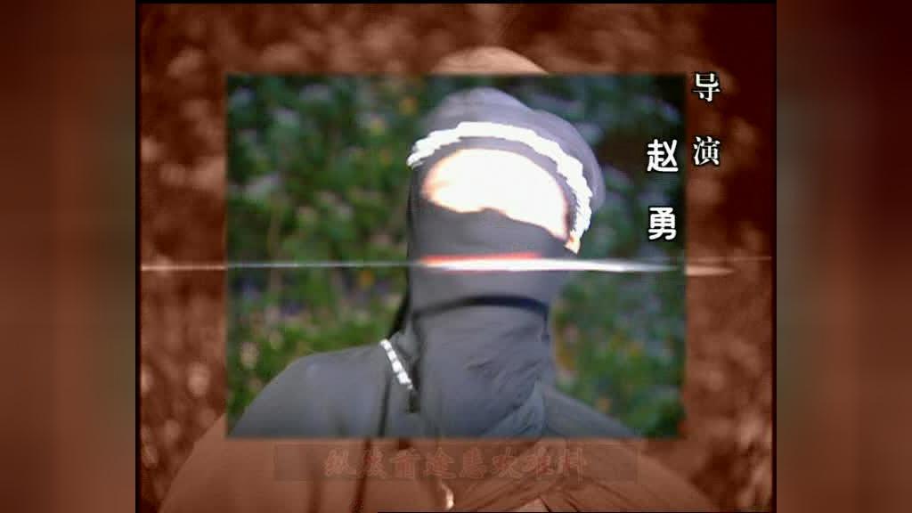 护国良相狄仁杰之京都疑云 第1集视频封面图