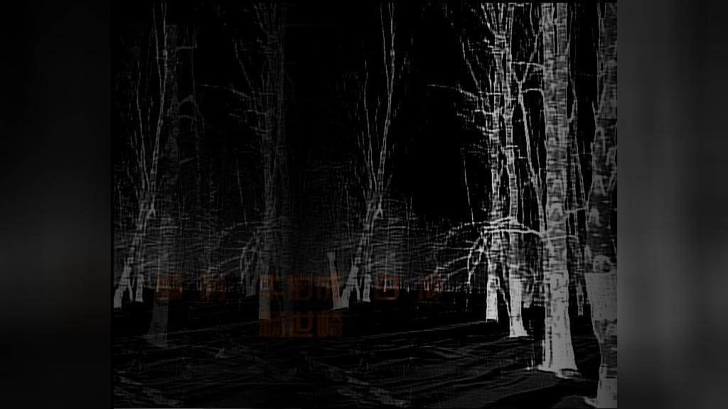 早安白桦林 第3集视频封面图