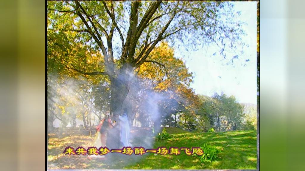 聊斋之花姑子 第8集视频封面图