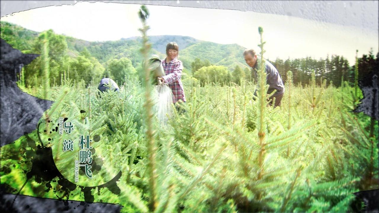 巍巍兴安岭 第24集视频封面图